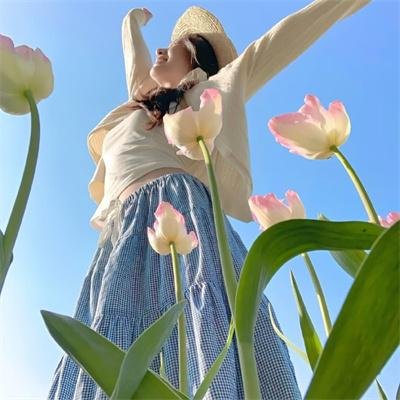 鼠来宝3粤语